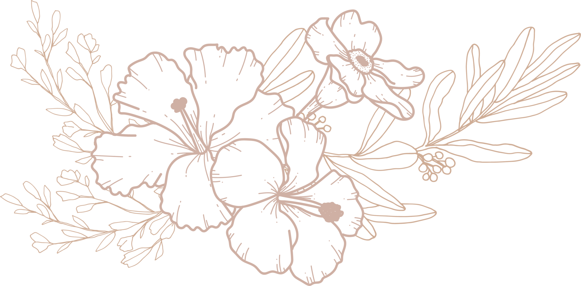 flower bouquet line art free png