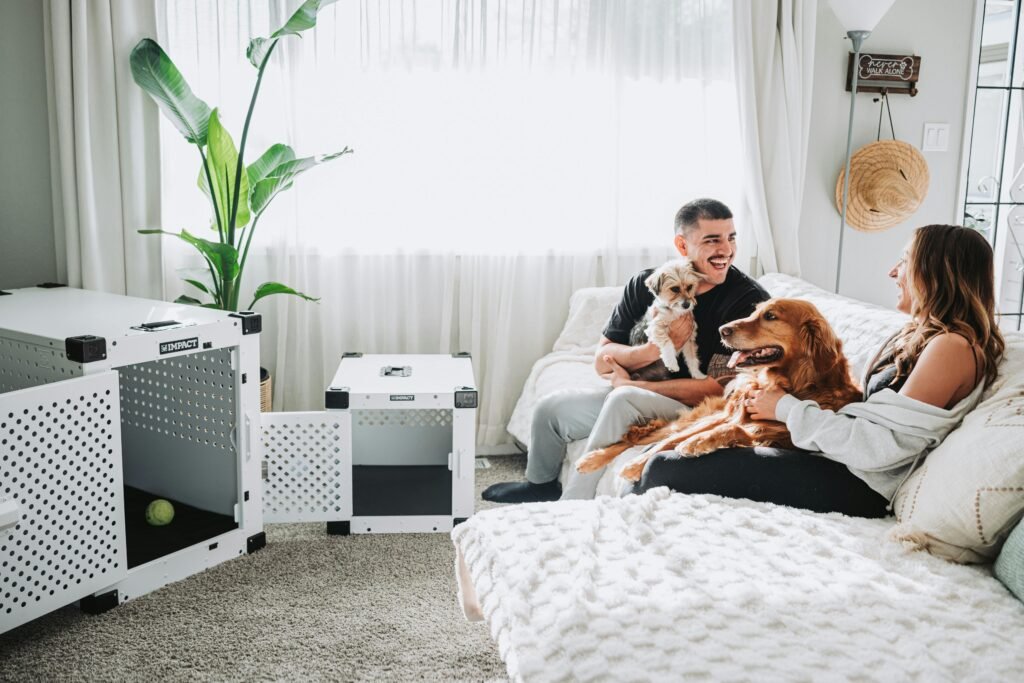 Young couple enjoying time with their dogs in a cozy living room setting, highlighting pet safety and comfort.